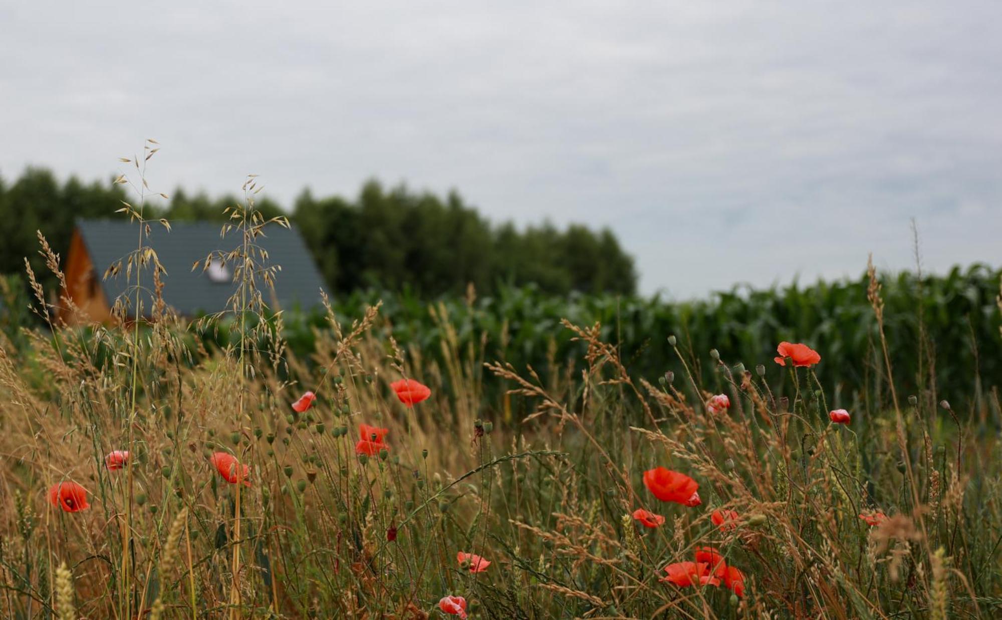Jej I Jego - Eleganckie Domki Z Balia Na Wylacznosc Niewiesze Exterior foto